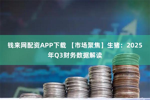 钱来网配资APP下载 【市场聚焦】生猪：2025年Q3财务数据解读